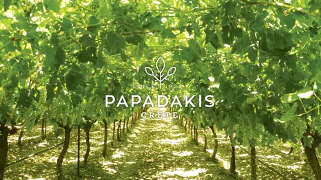 Papadakis-vineyard